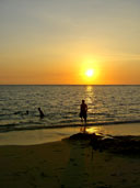 หาดในยาง_อุทยานแห่งชาติสิรินาถ_ภูเก็ต_24